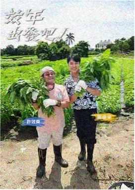 天堂影音综艺向往的生活
